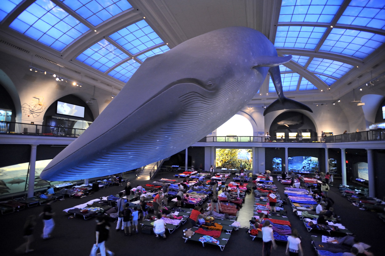 5 Reasons to Sleep in a Museum