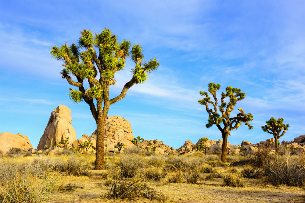 Your National Parks Calendar Which Park To Visit Each Month