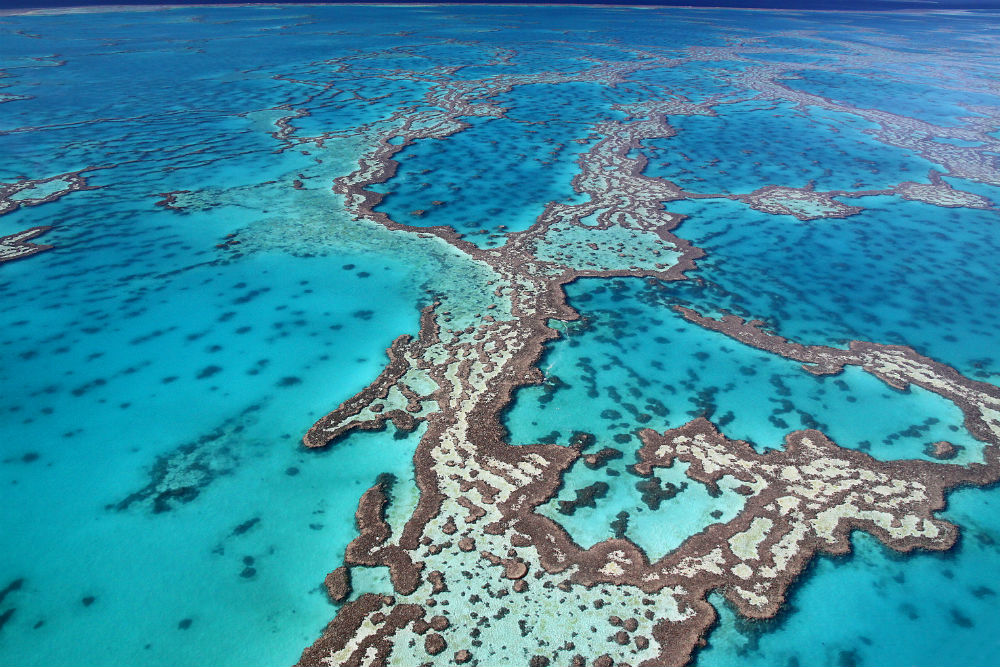 item Defecte Lastig Great Barrier Reef, Australia: Insider's Travel Guide