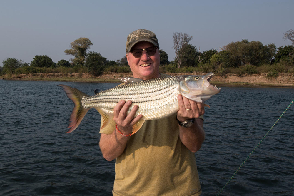 Tim Tiger fish Zambezi