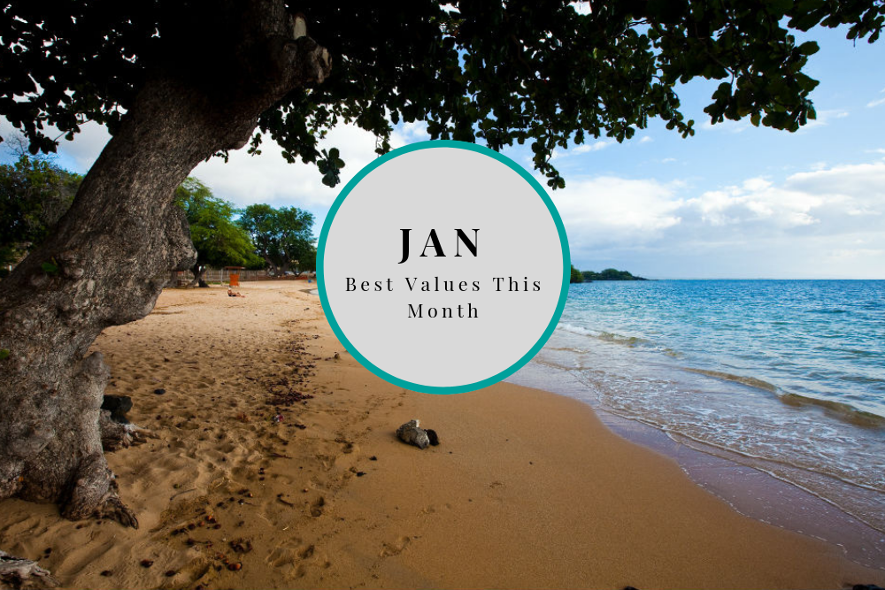 The Best Trips to Book in January What to Lock in Now