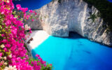 Navagio beach, shipwreck beach, famous overhead summer lanscape of Zakinthos island, Greece with flowers