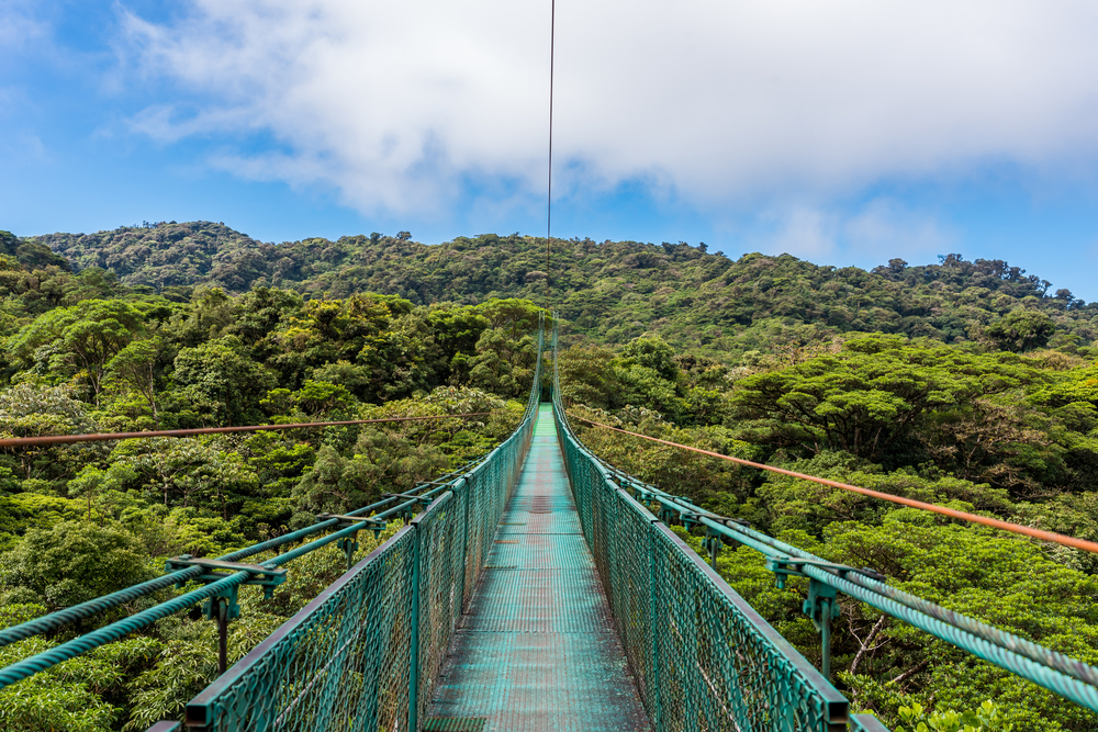 Hanging Bridges in cloud forest Monteverde - Costa Rica