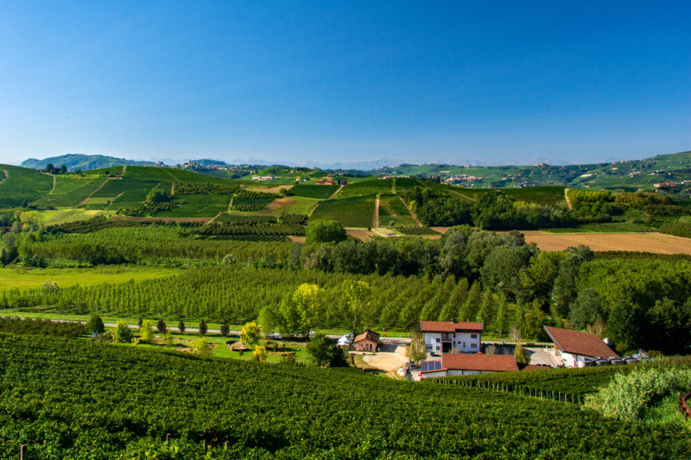 https://www.wendyperrin.com/wp-content/uploads/2023/11/the-verdant-Barolo-wine-region-in-Italy-cr-Joe-Lyle-1000x666.jpeg