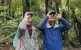 The guide taking a photo of Barbara and Larry Schoenfeld birdwatching at the Sanctuary Mountain Maungatautari ecological park, New Zealand.