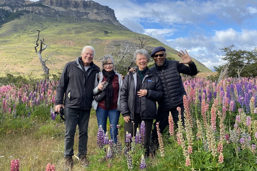 Travelers on a field of lupine during a birdwatching excursion in Chilean Patagonia.
