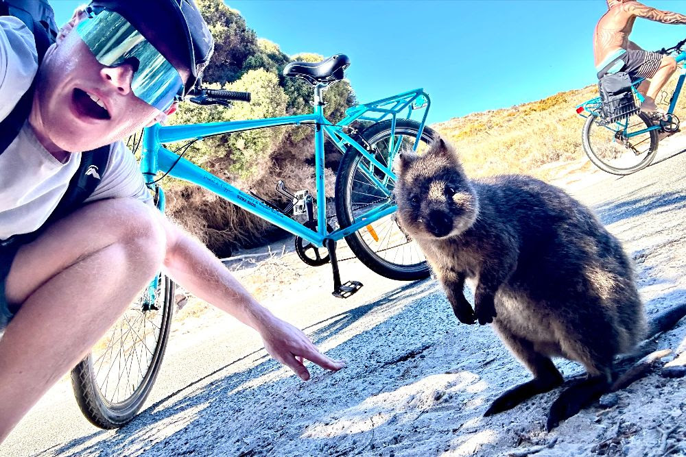 Charlie Baker taking a selfie with a quokka with a person biking in the background.