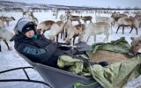 Traveler Julie Silbermann feeding reindeer in Norway.