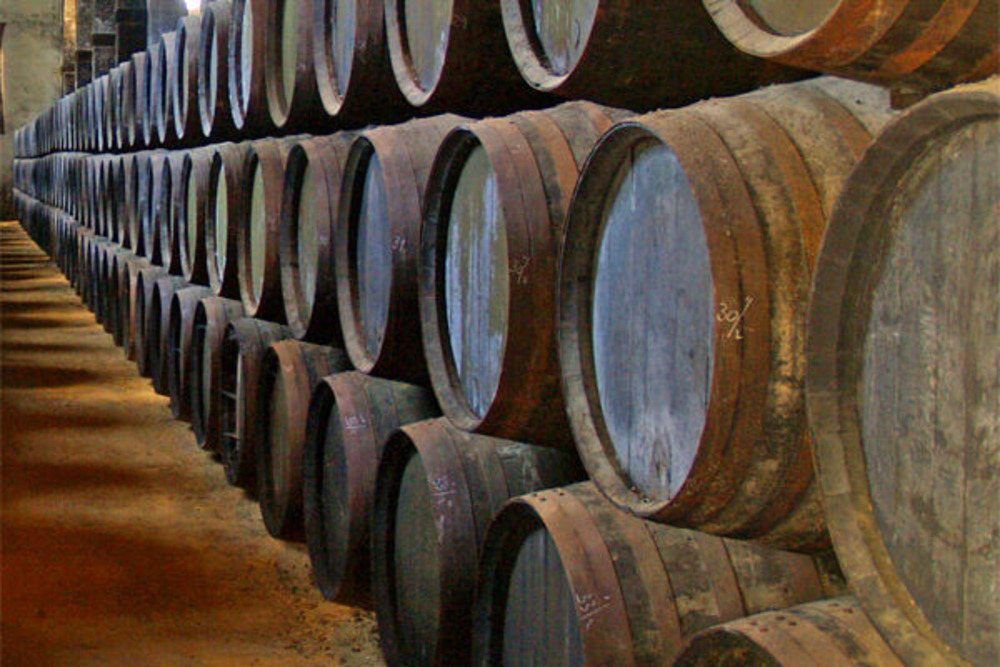 Traditional Spanish cellar with sherry wine barrels.