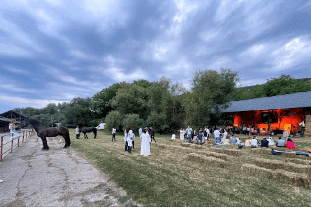 People gathered at Sonoro Musikland festival in the Romanian countryside.