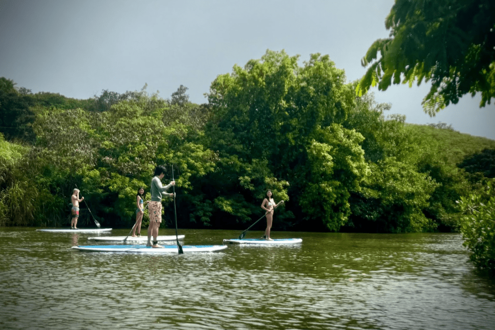 Family paddleboarding in Hawaii.