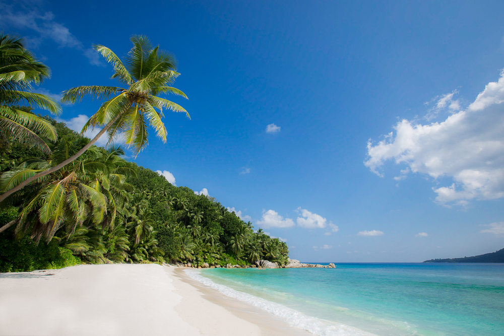 Blue sky, palm trees, and clear water Grand Anse Beach in Seychelles.