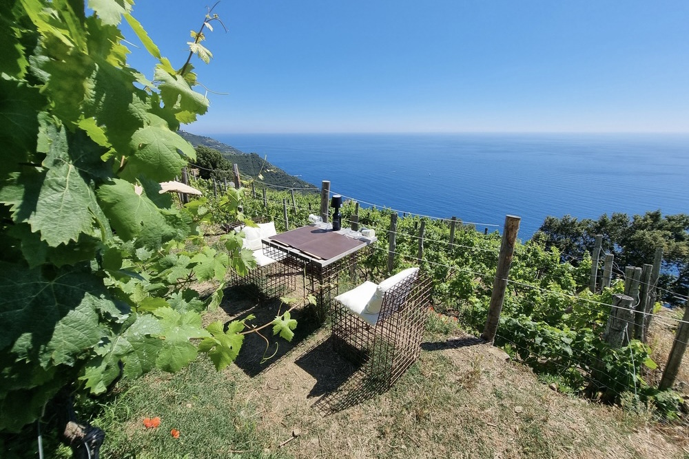 The beach view from the vineyards of Cinque Terre, Liguria, Italy.