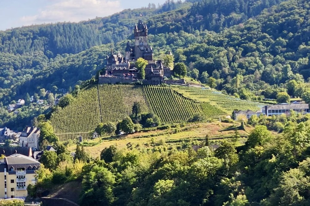 View from hike in Cochem, Germany.