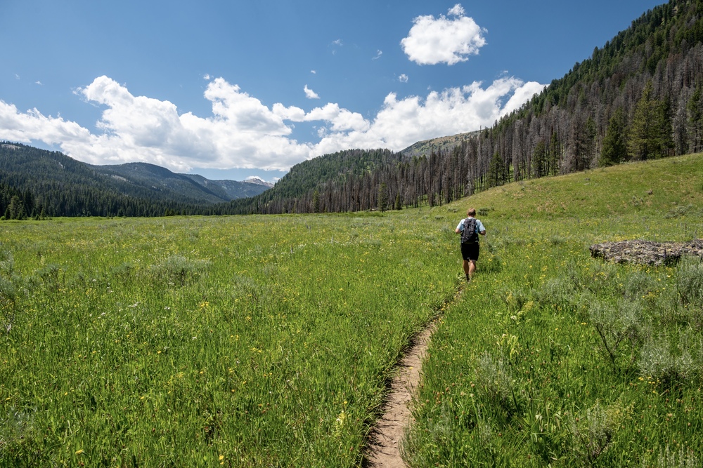 Hiking through Meadow toward Mount Holmes in Yellowstone.