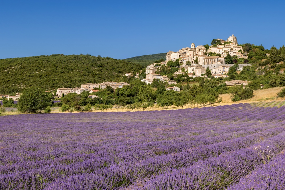 A lavender field in Simiane-la-Rotonde village of Alpes-de-Haute-Provence, France.