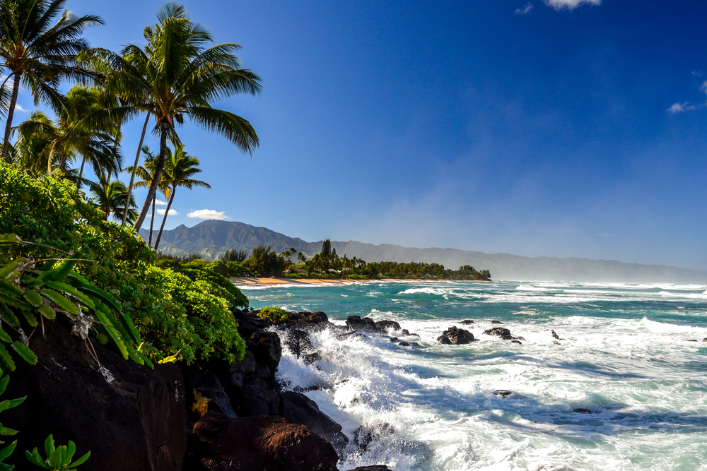 Beach waves and rocks at the North Shore in Oahu, Hawaii.