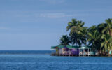 Palm trees and wooden houses of an island in Belize.