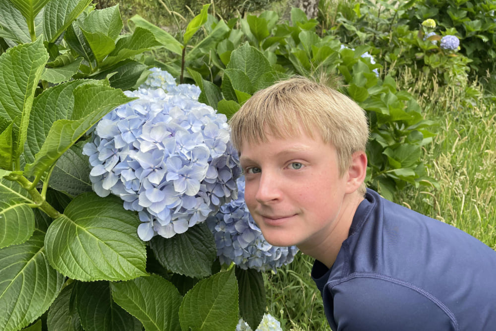 Zeke and hydrangea flowers in Azores.